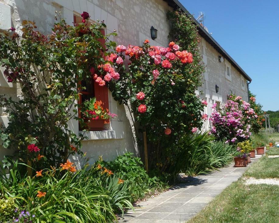 La maison des fleurs Saint-Senoch Extérieur photo